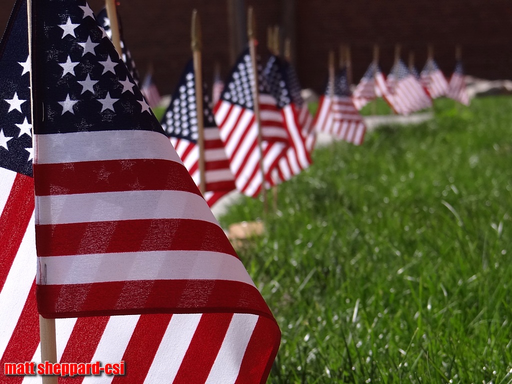 Flags lined the sidewalks of the Arts Park in downtown Jamestown. 